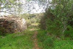 Plot / Land Olhão