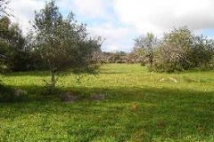 Plot / Land Olhão