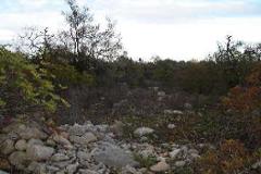 Plot / Land Olhão