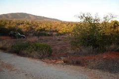 Plot / Land Olhão