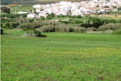 Plot / Land Vila do Bispo