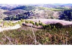 Plot / Land Aljezur