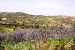 Plot / Land Lagos