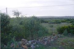 Plot / Land Lagos