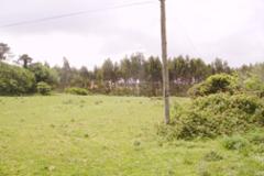 Plot / Land Lourinhã