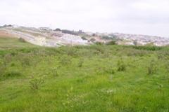 Plot / Land Lourinhã