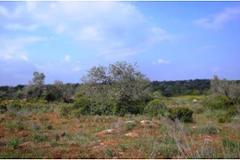 Plot / Land Silves