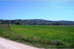 Plot / Land Silves