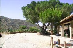 Plot / Land Monchique
