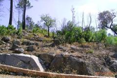 Plot / Land Monchique