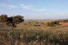 Plot / Land Reguengos de Monsaraz