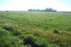 Plot / Land Reguengos de Monsaraz