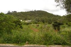 Plot / Land Silves