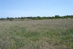 Plot / Land Silves