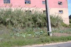 Plot / Land Caldas da Rainha
