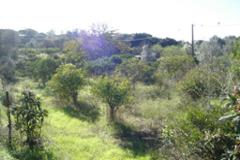 Plot / Land Silves