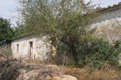 Plot / Land Conceição de Tavira