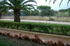 Studio Apartments Loulé