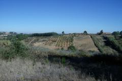 Plot / Land Gafanha da Nazaré