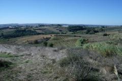 Plot / Land Obidos