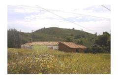 Villa - Farm Monchique