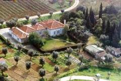 Villa - Farm Setúbal