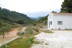 Villa - finca Yunquera