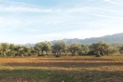 Plot - land Alhaur&iacute;n el Grande