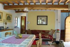 Villa - House Pescia