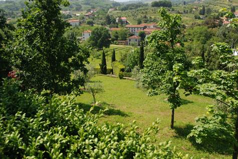 Villa For Sale in Capannori, Lucca, Italy
