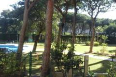 apartment Calahonda