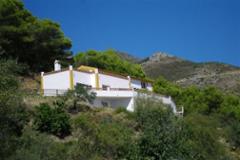 Villa - finca Alozaina