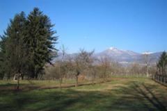 Villa - House Castiglione di Garfagnana
