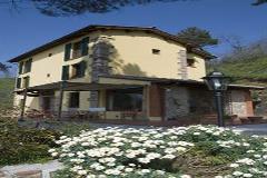 Villa - House Pescia