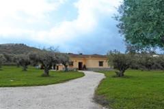 Villa - finca Monda