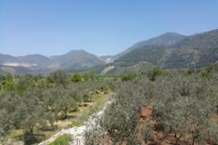 Villa Fethiye