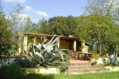 Villa - House Palaia