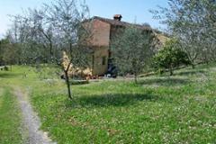 Villa - House Palaia