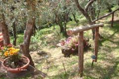 Villa - House Capannori