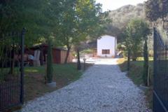 Villa - House Lucca