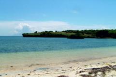 Magnificent beachfront land