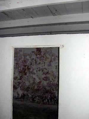 Photo 8 of Sardinia - stone house in Berchidda to be restored