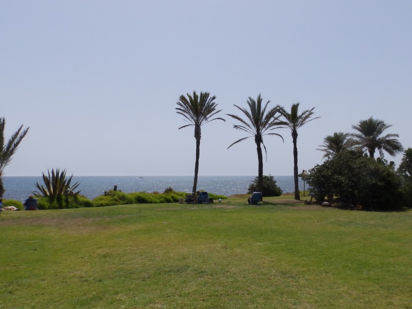 Photo 3 of 