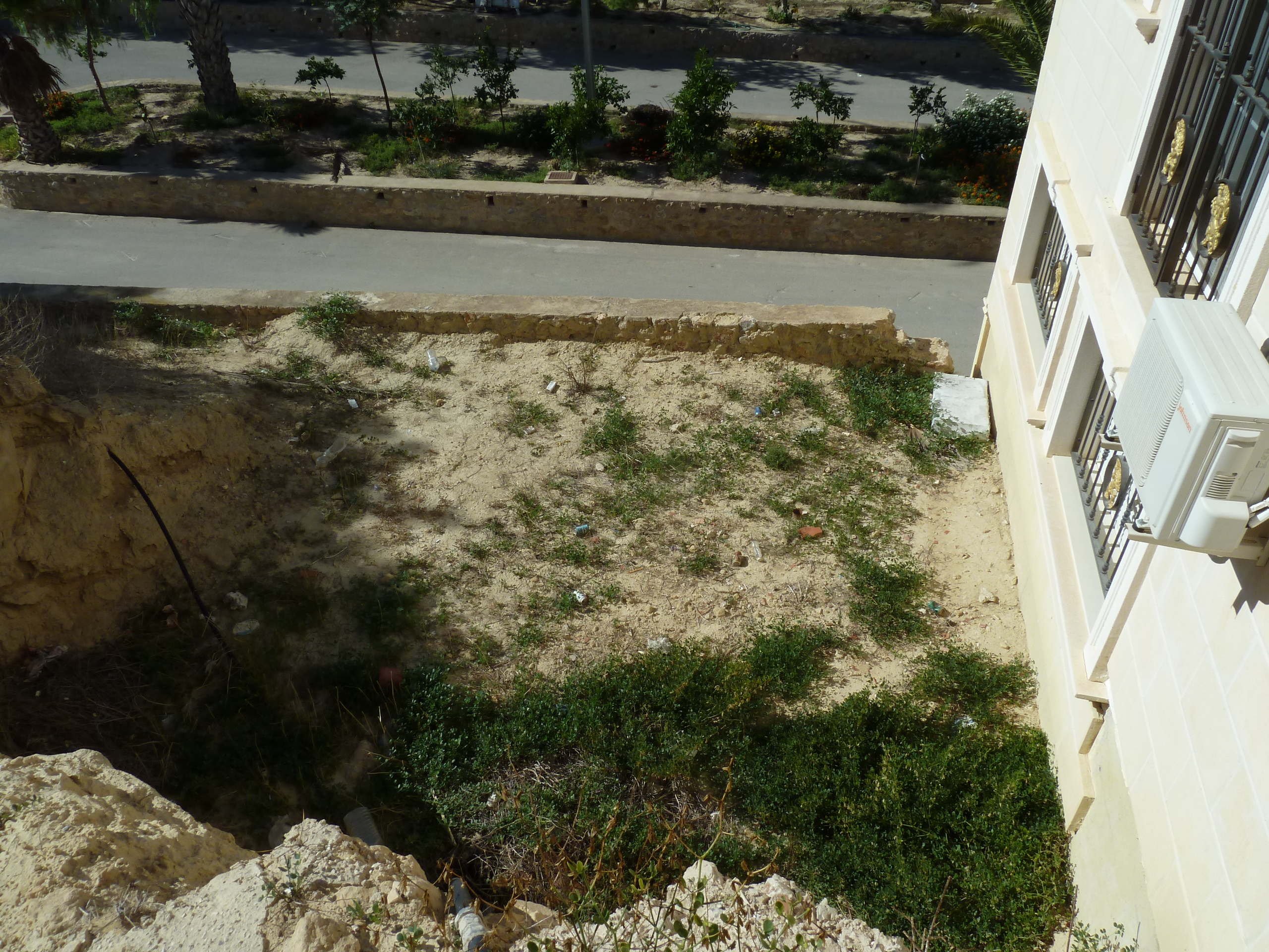 Photo 4 of 