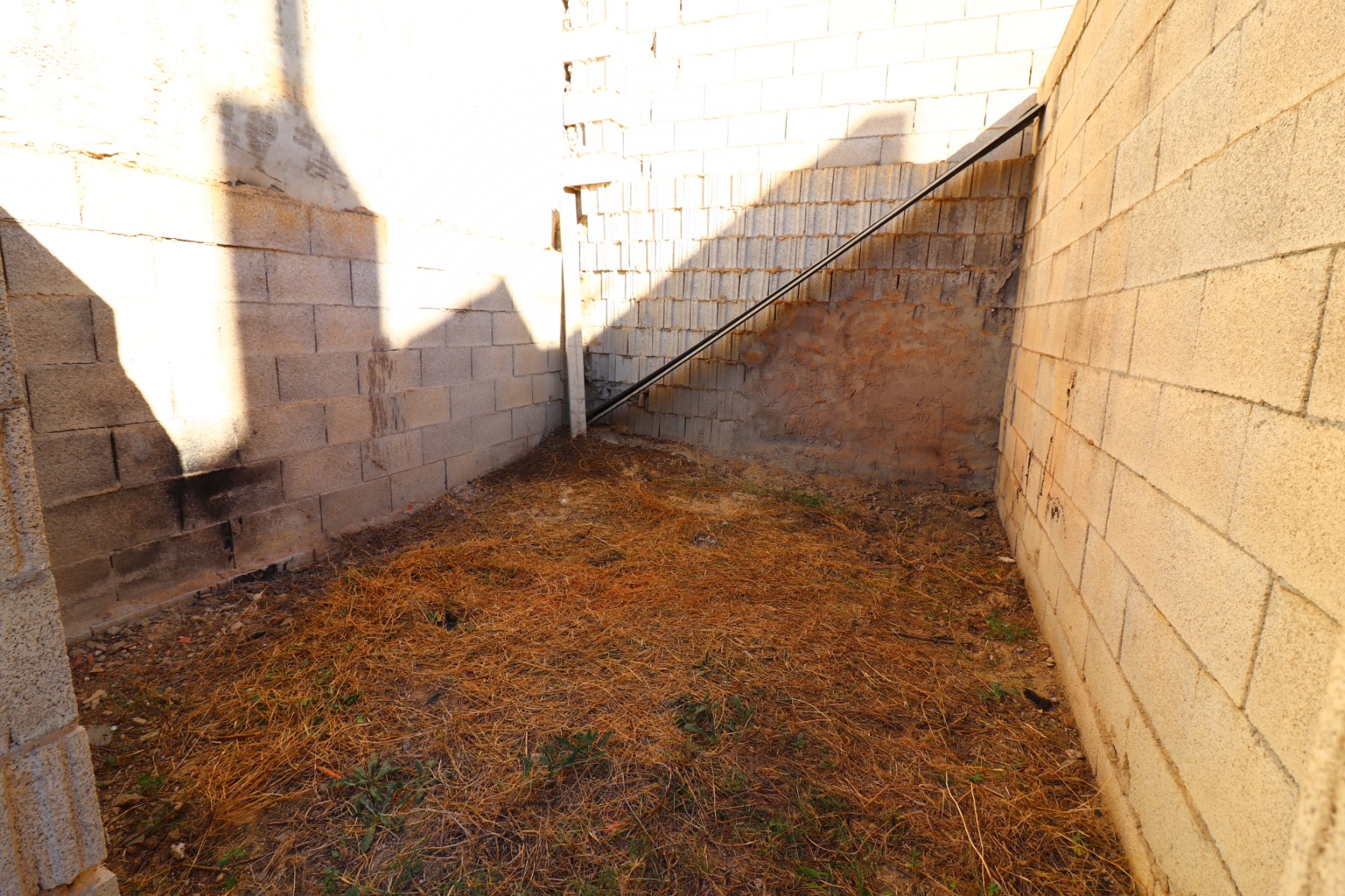 Photo 5 of 