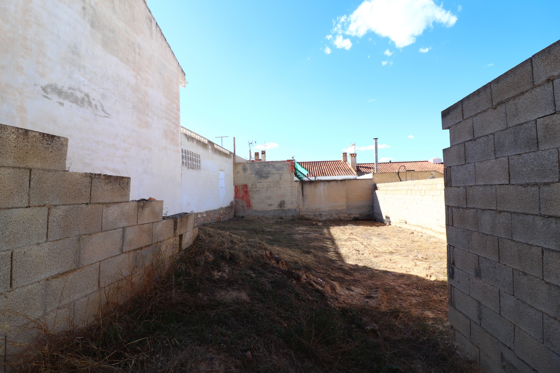 Photo 4 of 