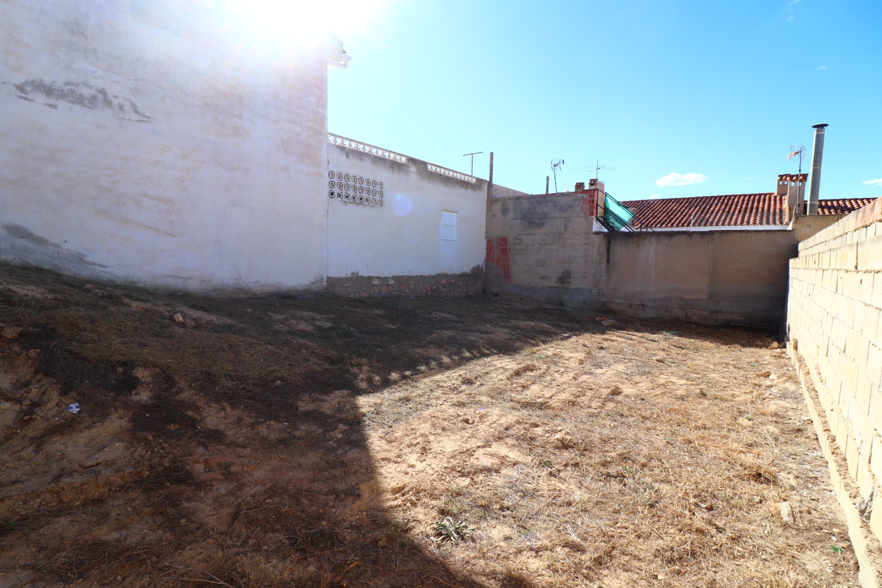 Photo 7 of 
