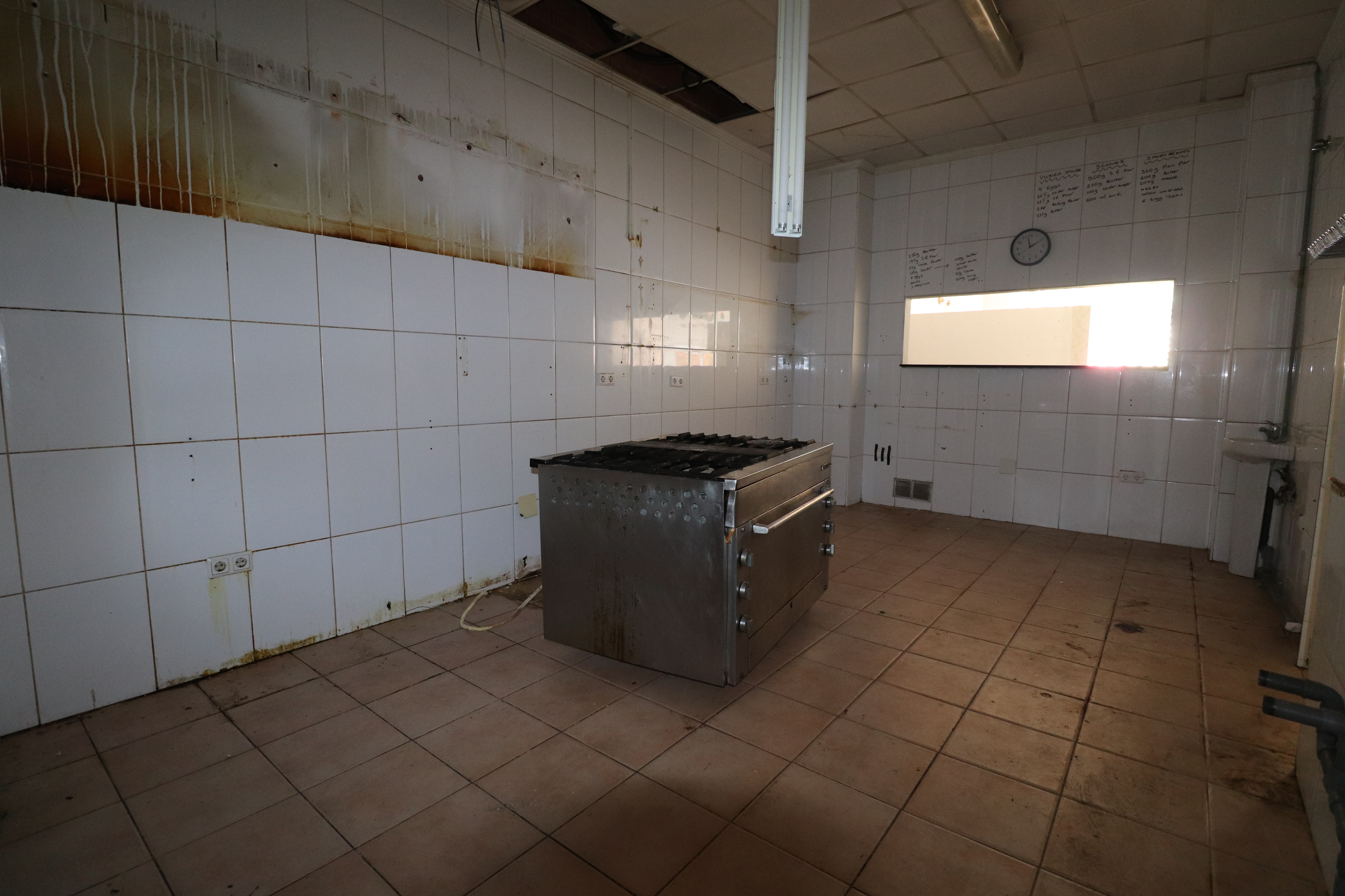 Photo 6 of 