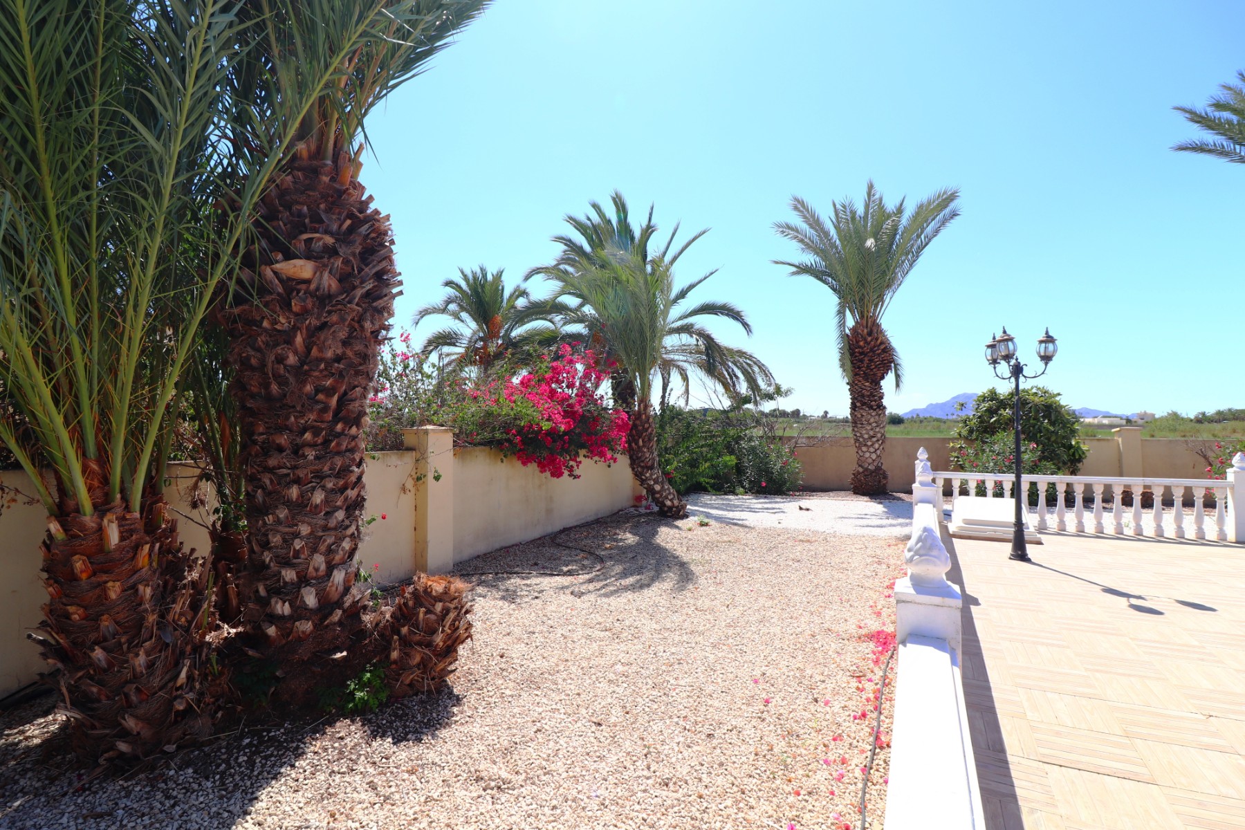 Photo 3 of 