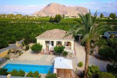 Apartment in Alicante
